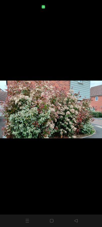 Homely Holiday home Coventry