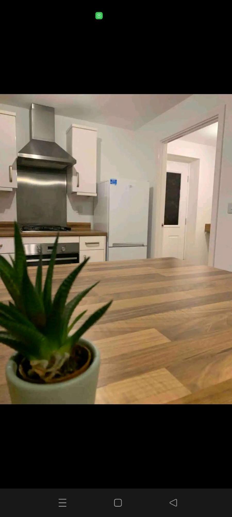 Homely